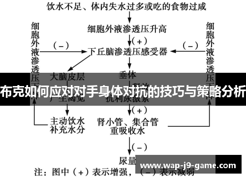布克如何应对对手身体对抗的技巧与策略分析 布克如何应对对手身体对抗的技巧与策略分析
