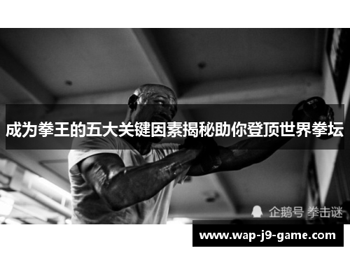 成为拳王的五大关键因素揭秘助你登顶世界拳坛
