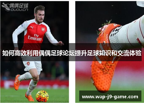 如何高效利用偶偶足球论坛提升足球知识和交流体验