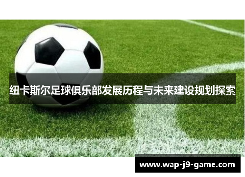 纽卡斯尔足球俱乐部发展历程与未来建设规划探索 纽卡斯尔足球俱乐部发展历程与未来建设规划探索